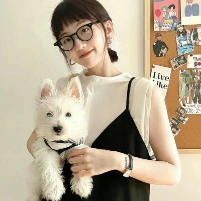 消失的收藏家