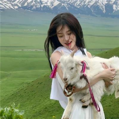 黑吃黑第二季